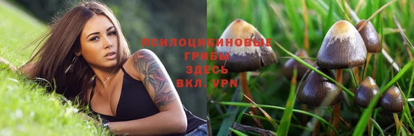 сатива Абинск