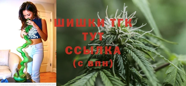 сатива Абинск
