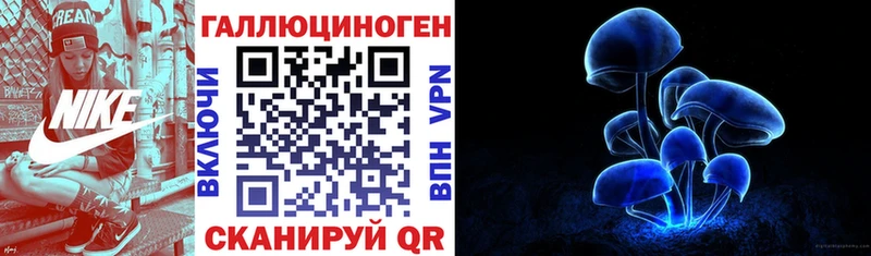 OMG онион Емва Псилоцибиновые грибы GOLDEN TEACHER