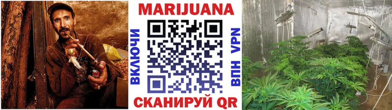 Каннабис гибрид  Емва 